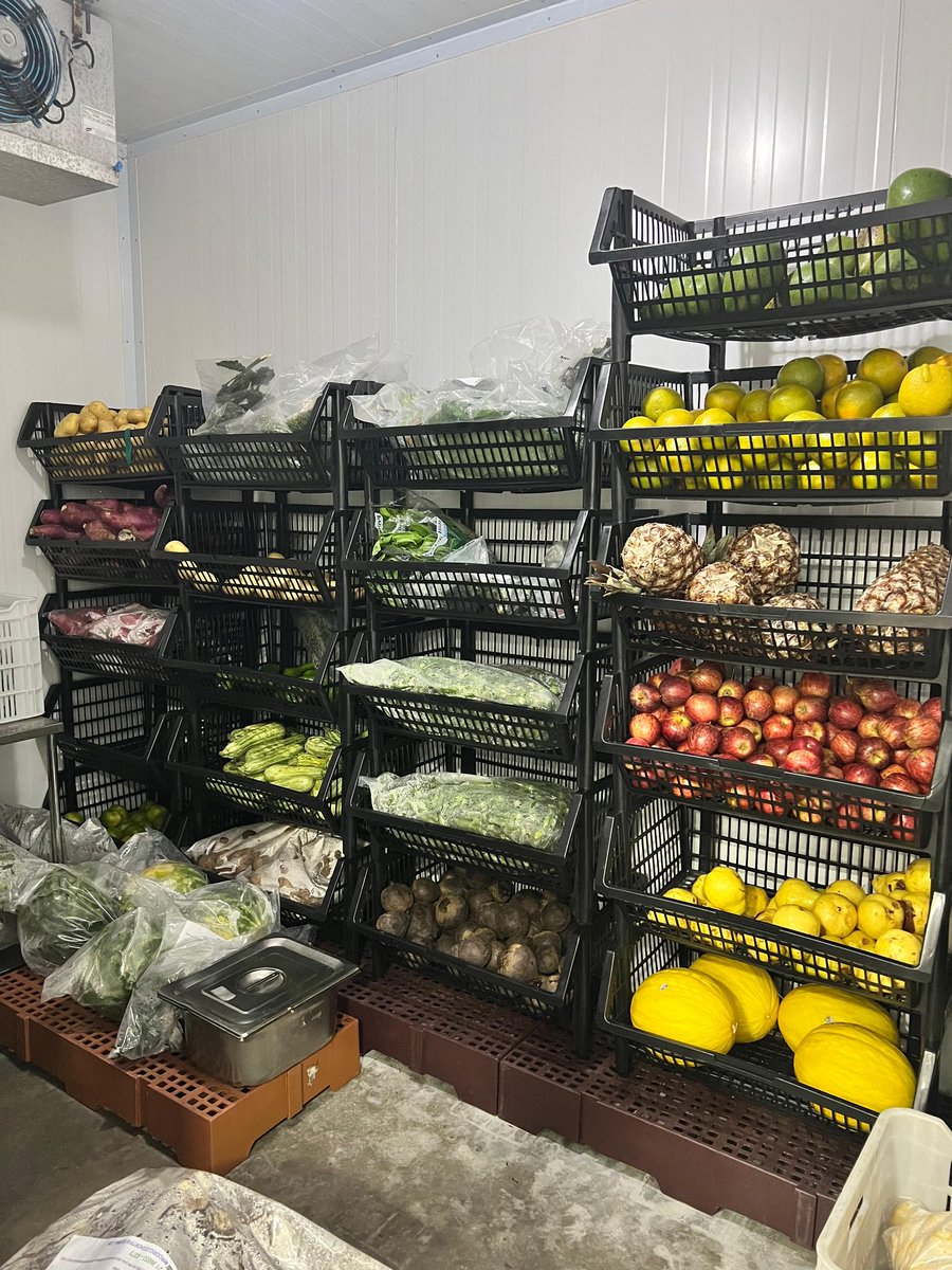 nervmnd's tweet image. pov: galeria de um estudante de nutrição