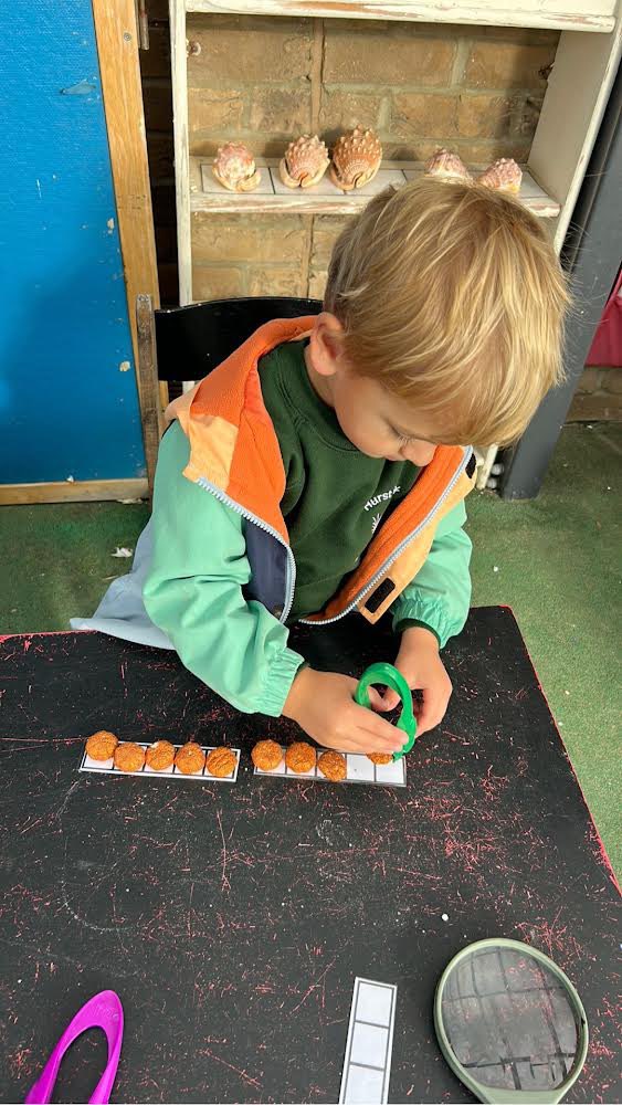 HurstParkSchool's tweet photo. π Pumpkin Week in Nursery! π We counted our pumpkins using 5 frames and used hammers to create fun designs with golf tees. π¨ Then, we opened them up to discover whatβs inside! π§‘ #EYFSlearning @LEOacademies @LEOearlyyears #WeAreLEOπ¦ https://t.co/HnA64mQbMp