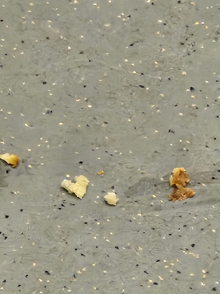 The crumbs of love
<a href="/tusenoch/">karen</a>