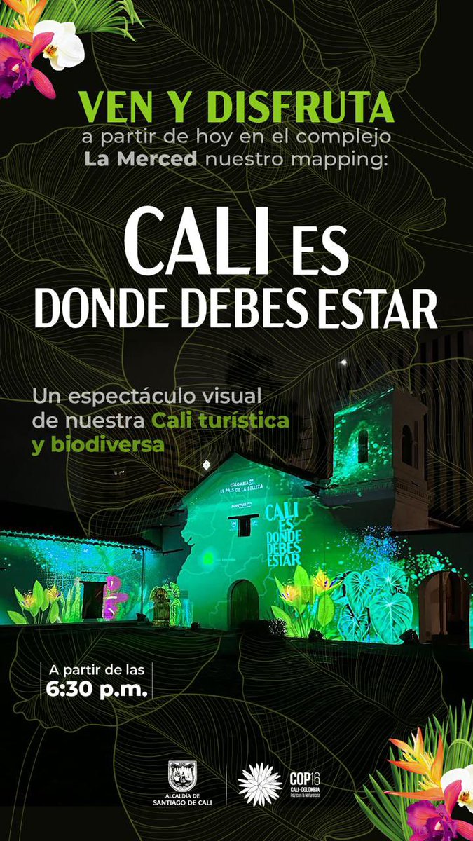 FelipeRamois's tweet photo. #COP16Cali #COP16Colombia
Dos imperdibles de la zona verde HOY en la @COP16Oficial
Salí de la oficina a parcharte la ciudad
#MovetePorCali https://t.co/7EwB1PIcLg