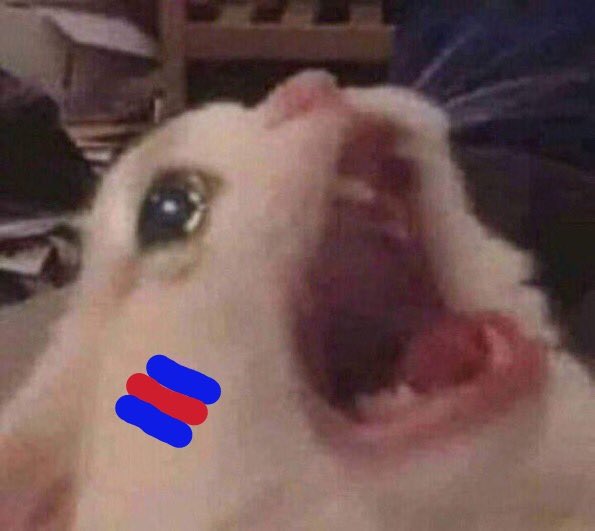 VanesaCortazar's tweet photo. SOLO SOY UNA CHICA QUE ESTÁ VOLVIENDO A VER A SU EQUIPO COMPETIR EN EUROPA https://t.co/VynNiT4Due
