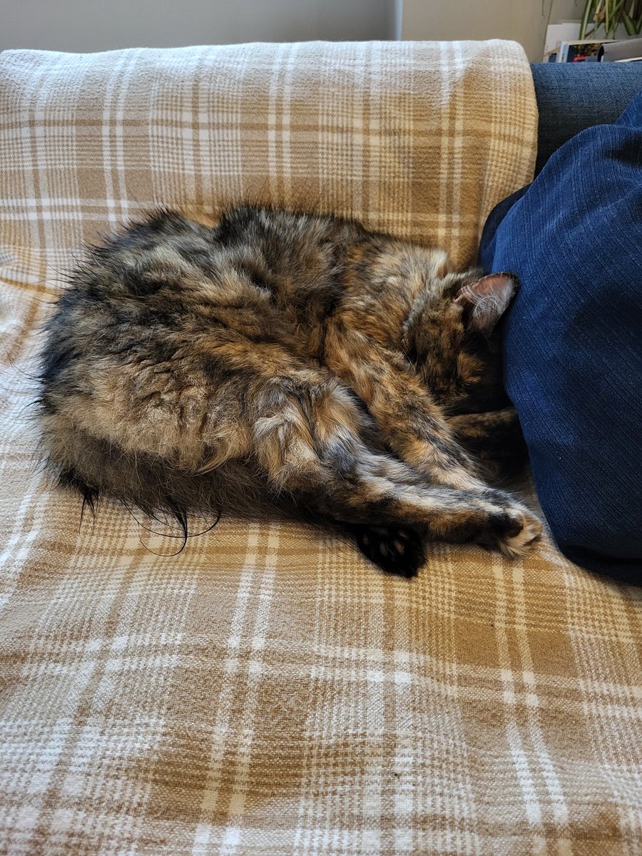 fbeighton's tweet photo. @TreasuryMog Night boss https://t.co/njQiObmEuC