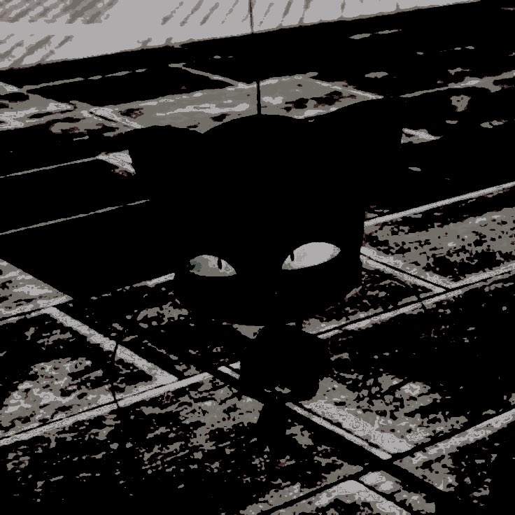 ‍‍ ‍ ‍‍𝓪𝐃𝐑𝐈𝐄𝐍 𝓪𝐆𝐑𝐄𝐒𝐓𝐄. (@clawsofnoir) on Twitter photo 