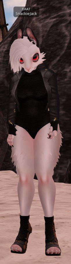 Type0Terror's tweet photo. If I start staring at you like this, it means I like you. I am also wondering how hard I have to bite you to get some blood. https://t.co/xCoXqX4Jqs