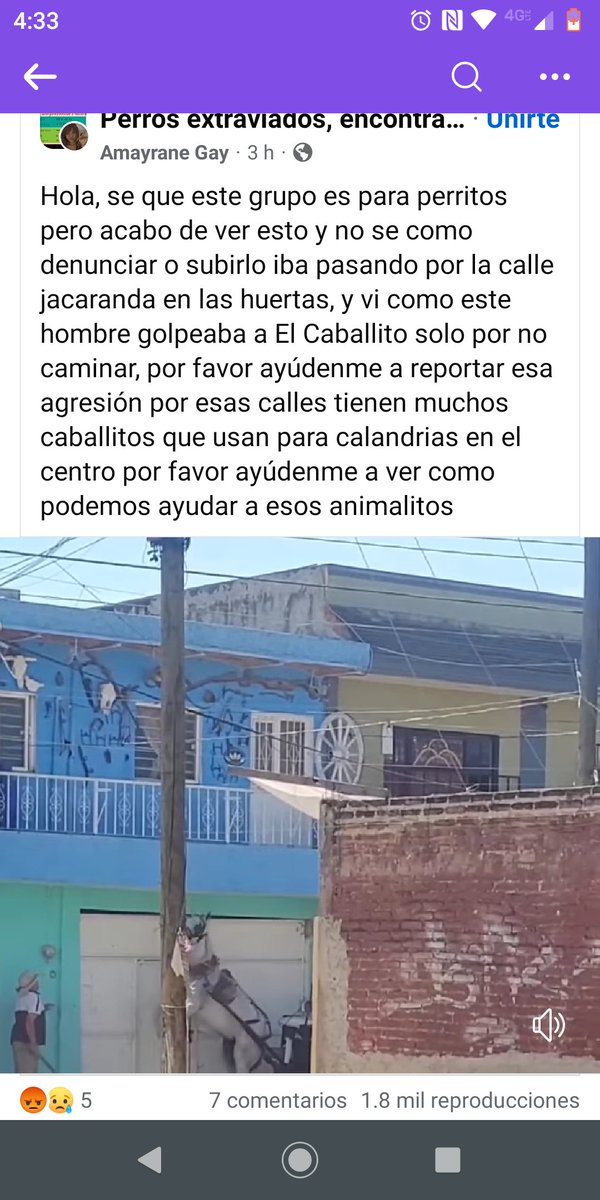 Cinthia elizabeth tweet media