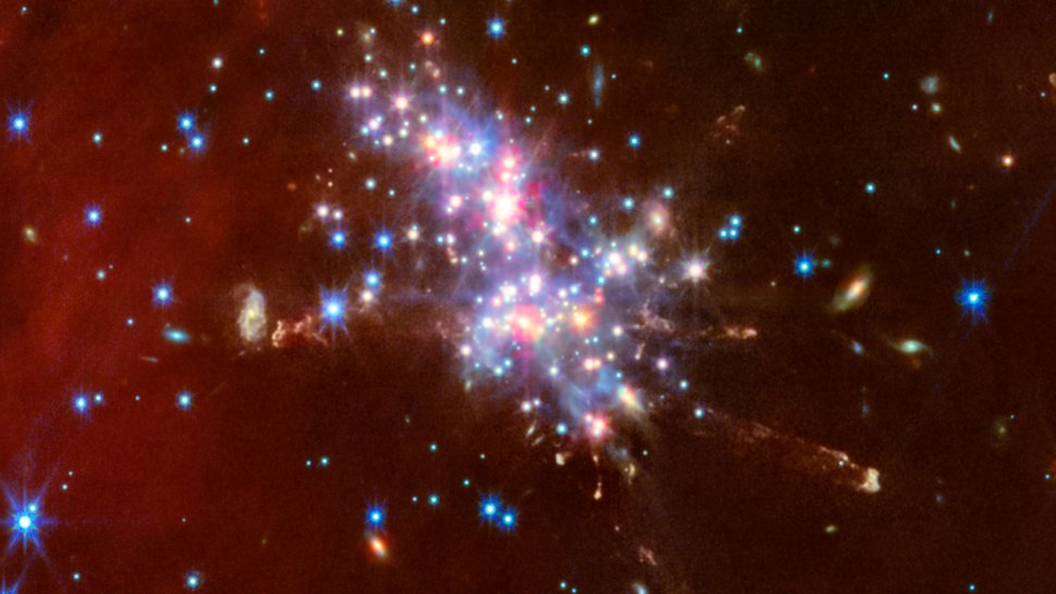 NoBSSpace tweet media