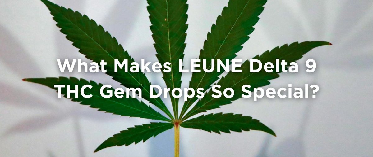 LEUNE tweet media