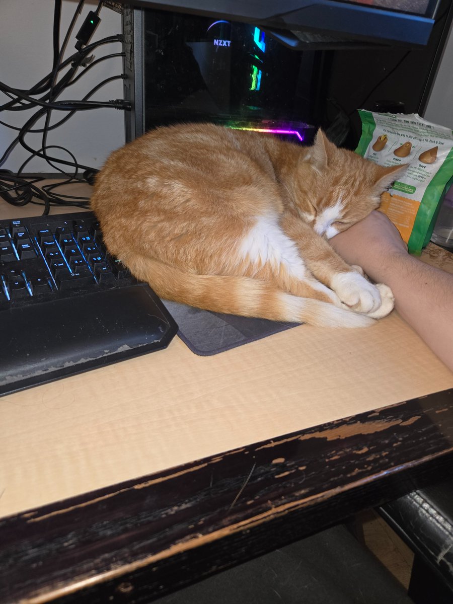 Derponation's tweet photo. Can't use computer.

He's to eepy.

He jumped up and laid down on my hand.

He's now taken over the whole mouse pad covered his face and gone to sleep https://t.co/bTqRHEqb56