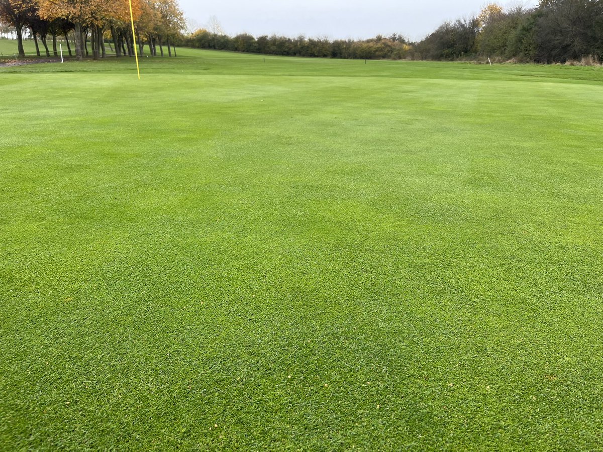 Ross Jones tweet media