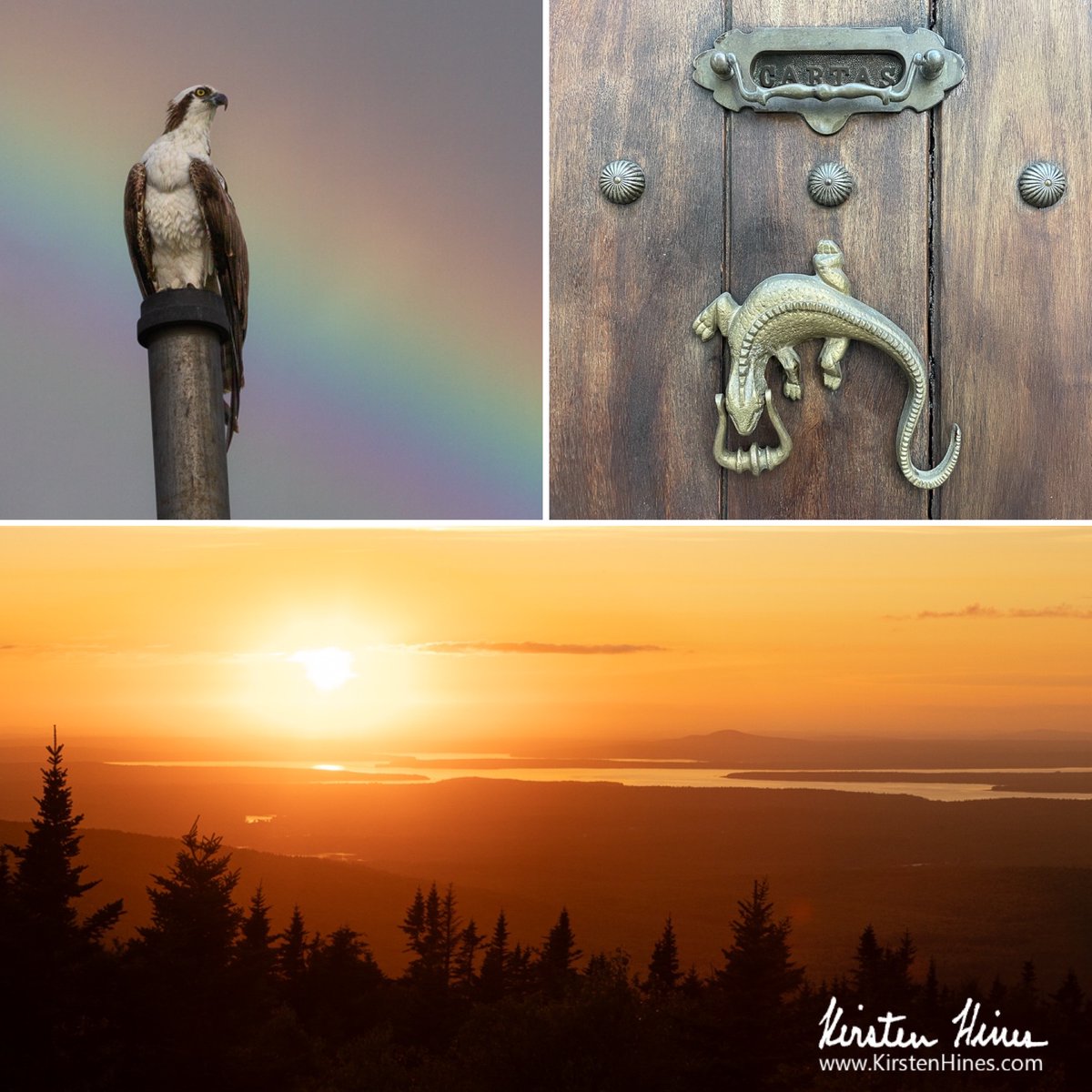 From fall #birding spots in #Florida to wildlife door knockers in #SantoDomingo and sunset in Acadia National Park, my latest #newsletter has them all:
mailchi.mp/db8b7d81770d/k…