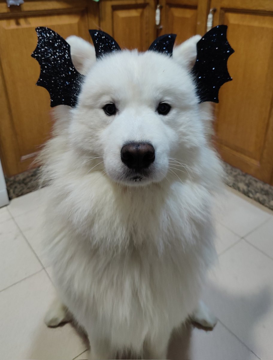 JuanAFons's tweet photo. Esta Morrigan está muy rara https://t.co/iykLigXufW