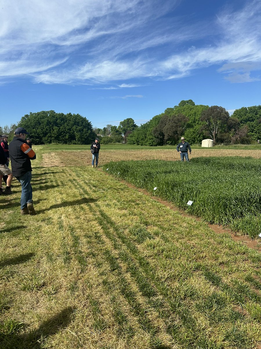 What a great day from <a href="/AGF_Seeds/">AGF Seeds</a> for their annual field day. We are lucky to have such a high quality site at our back door. Well done 🌾 🌱🌻
