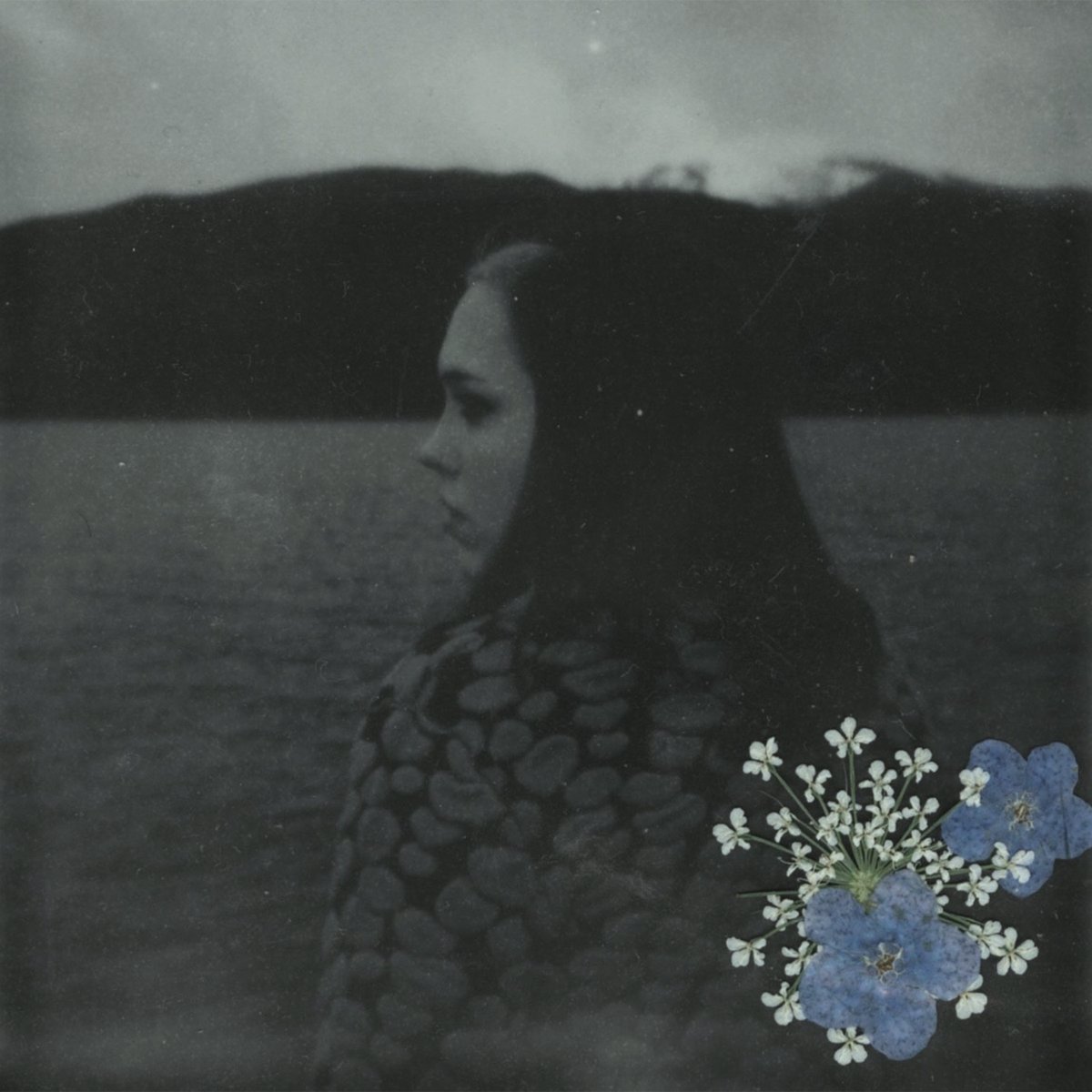 Sophie Allison AKA: Soccer Mommy releases her new album Evergreen (another one for yer year end list?) on October 25th via Loma Vista recordings. Read Atlin Lester-Serafini's review @sopharela northerntransmissions.com/soccer-mommy-e… #SoccerMommy