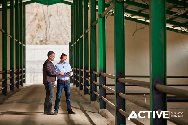 activebusiness0's tweet photo. This Small Business Month, we’re here to help small businesses save on utilities and reinvest those savings into what matters most - growing their business. 🌱 Happy #SmallBusinessMonth!  #SMB #EnergyEfficiency #Sustainability #SupportSmallBusiness https://t.co/ZnDIBd8wEn