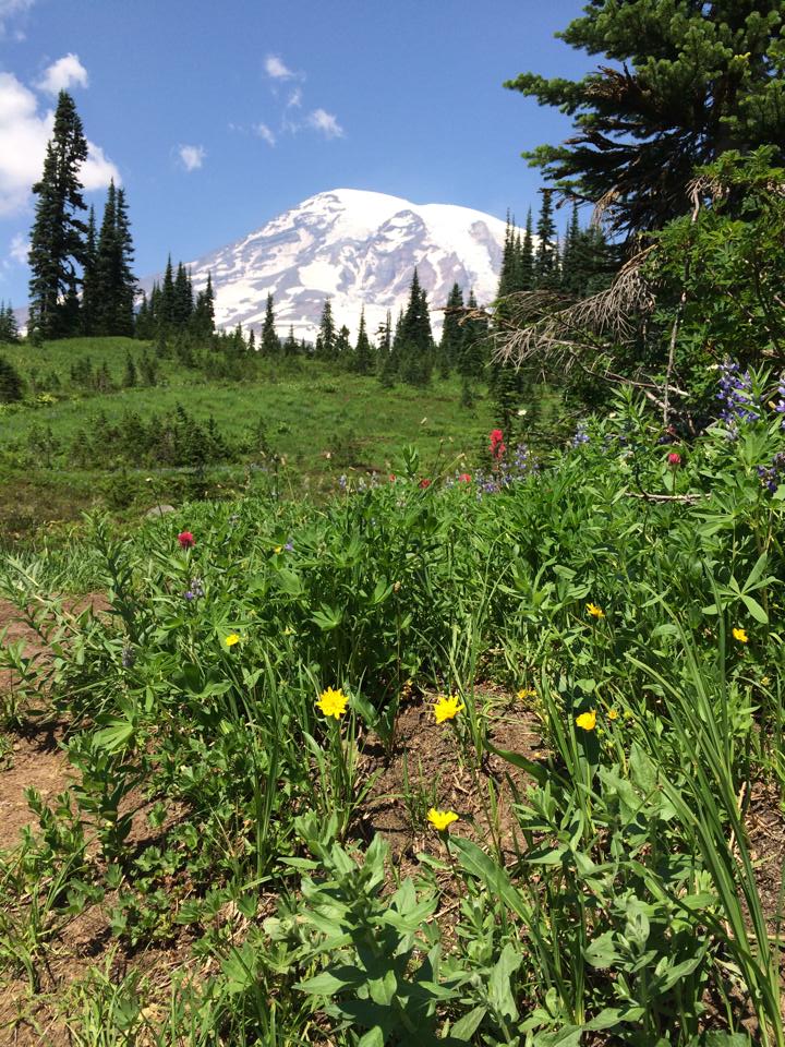 UnionGapWA's tweet photo. A4 #smalltowntourismchat
So many amazing places around here. But, if you haven't seen Mt. Rainier up close and personal. It's a must! And a lovely drive from #UnionGapWA https://t.co/zzLSC76mGj