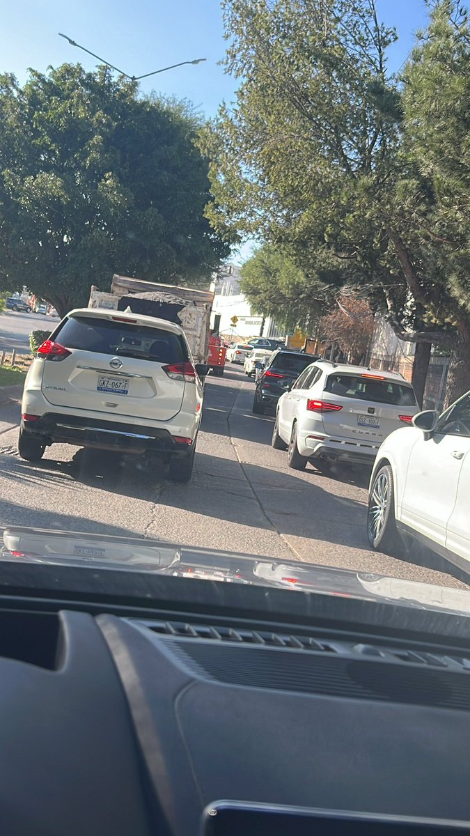 ReY_DuGa's tweet photo. @SIAP_Leon a qué maldito genio se le ocurre programar podar recoger camellones en día laboral 8am en una avenida sin otra salida.. idiotas https://t.co/eG8C4rMY3V