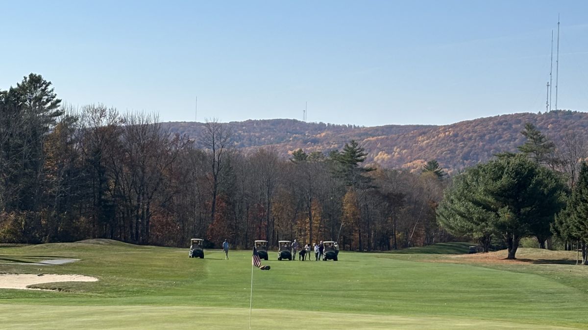 GreenSight tweet media