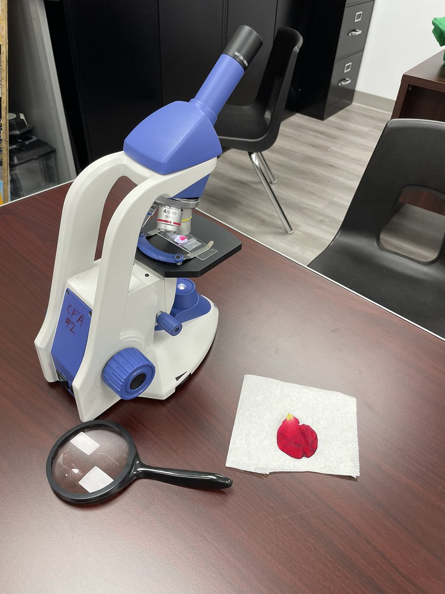 École secondaire catholique Sainte-Trinité tweet media