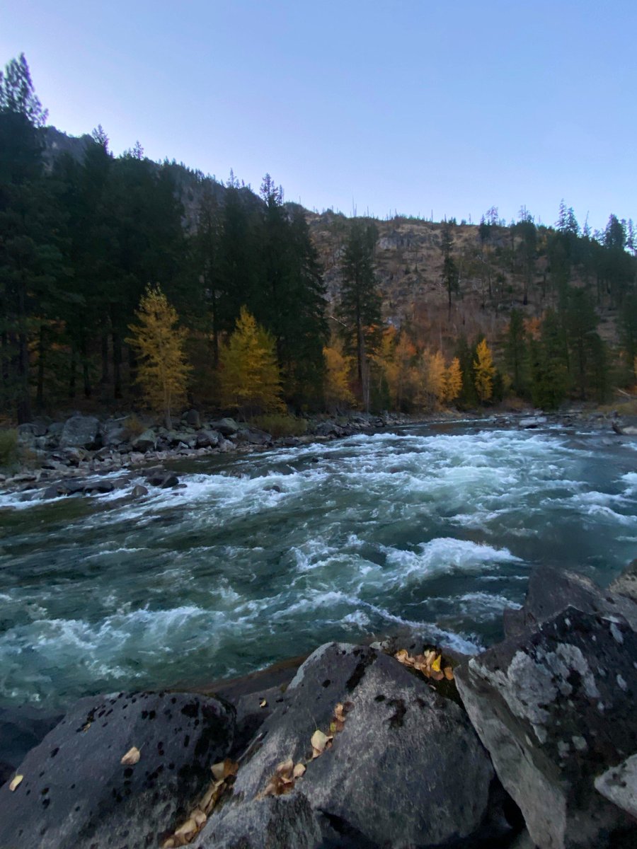 Wildfire_Sam's tweet photo. Wouldn’t want to live anywhere else. https://t.co/KeJGEHIgvE