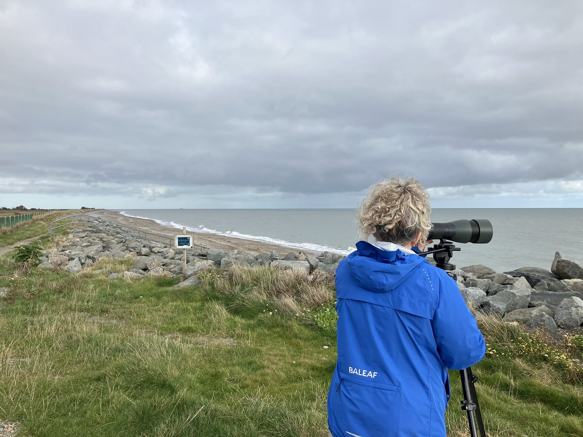 cianbirder's tweet photo. Two day’s guiding Jeri from America. Many new life birds for her in over the 2 day’s. Long-tailed duck, Cetti’s warbler and 2 Goosander being my highlights. #birdguide https://t.co/H6Lcwr3FFy