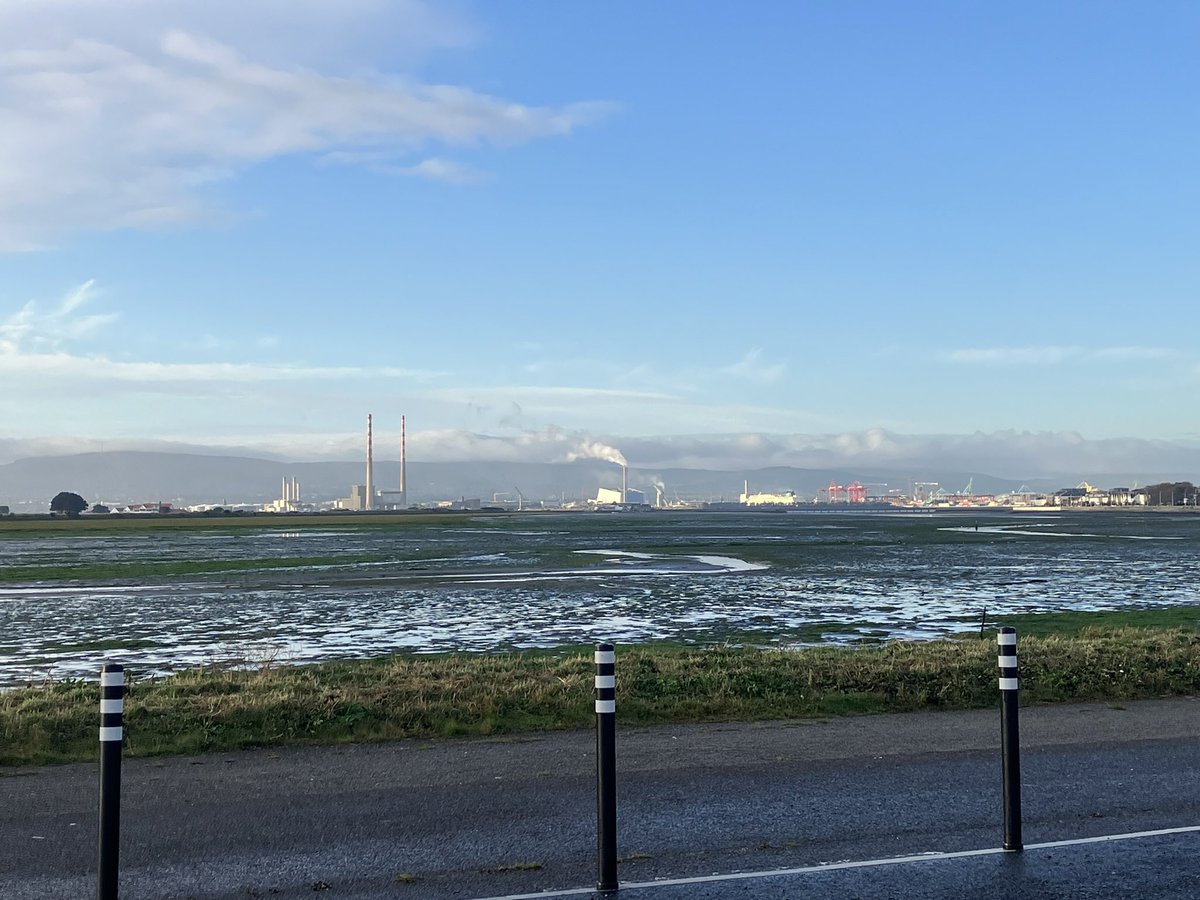 cianbirder's tweet photo. Two day’s guiding Jeri from America. Many new life birds for her in over the 2 day’s. Long-tailed duck, Cetti’s warbler and 2 Goosander being my highlights. #birdguide https://t.co/H6Lcwr3FFy