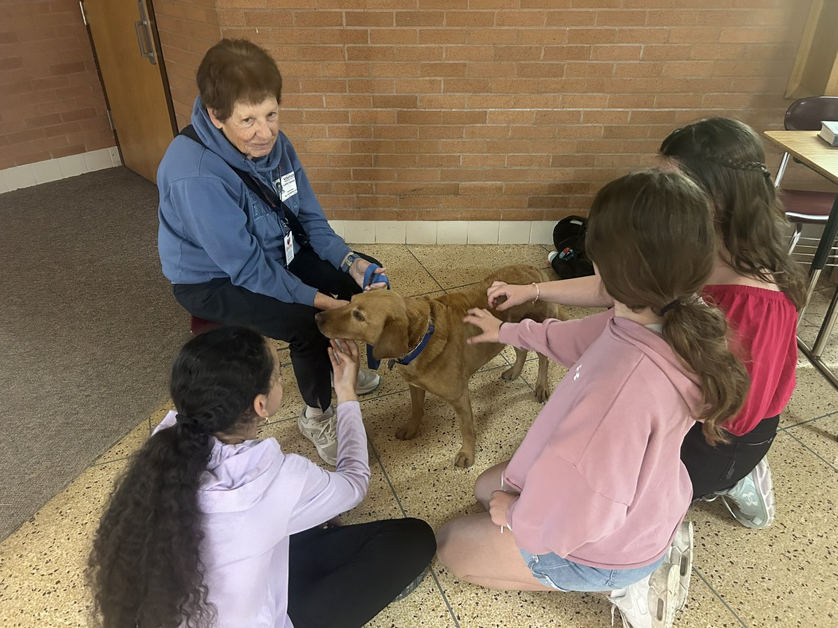 Bay Trail MS tweet media