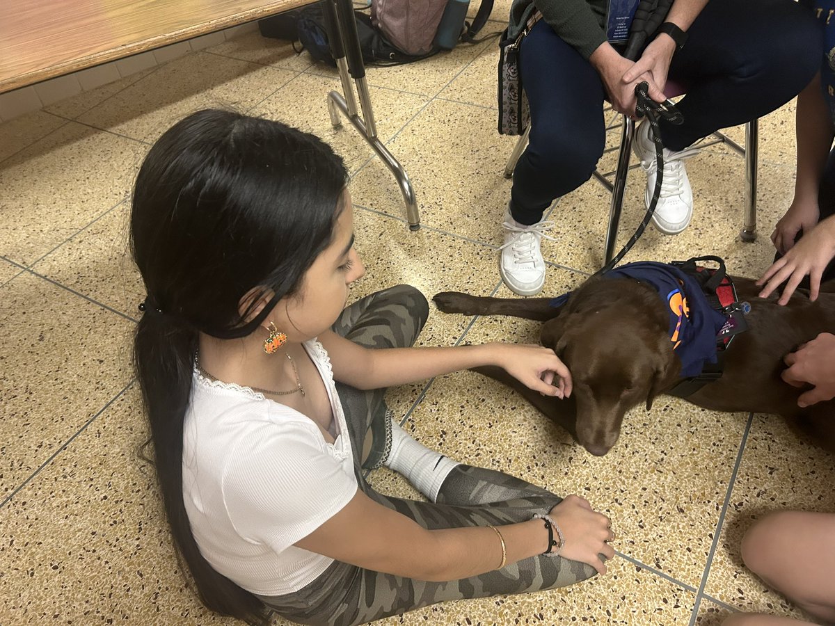 Bay Trail MS tweet media