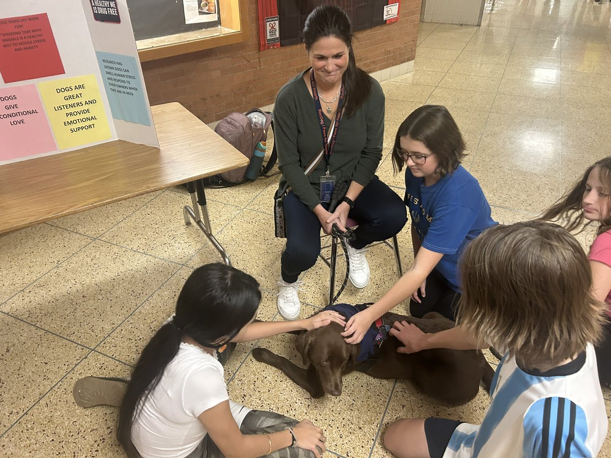 Bay Trail MS tweet media