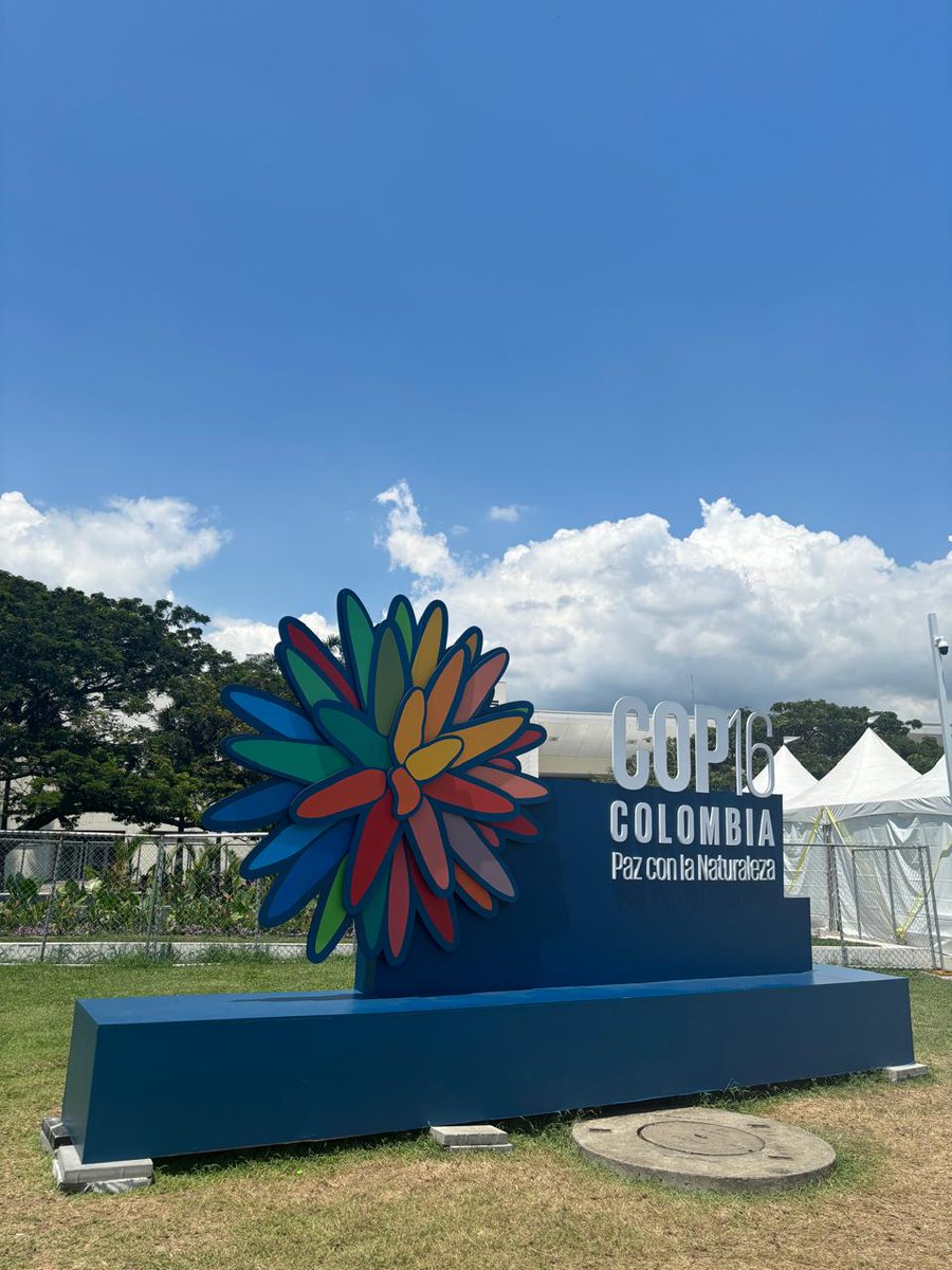 SWISSAID Colombia tweet media