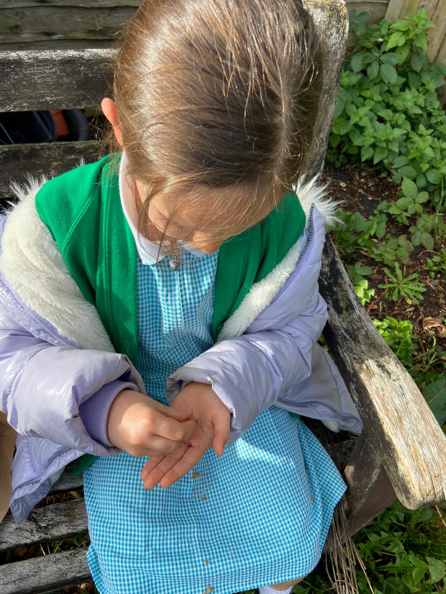 St Peter's C of E Primary School, Farnham tweet media