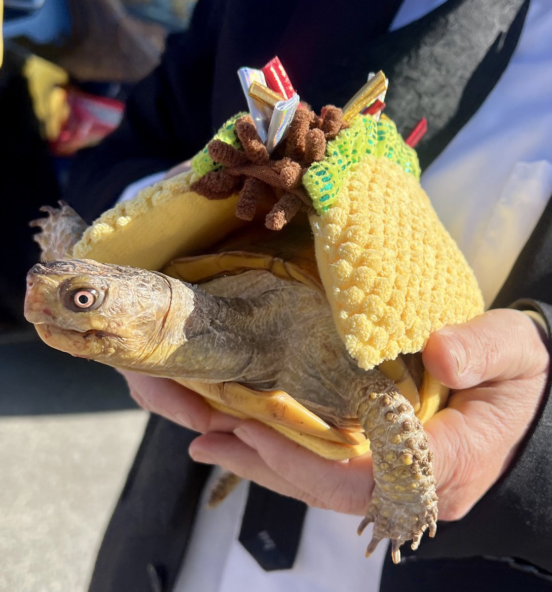 Erica Yoss tweet media