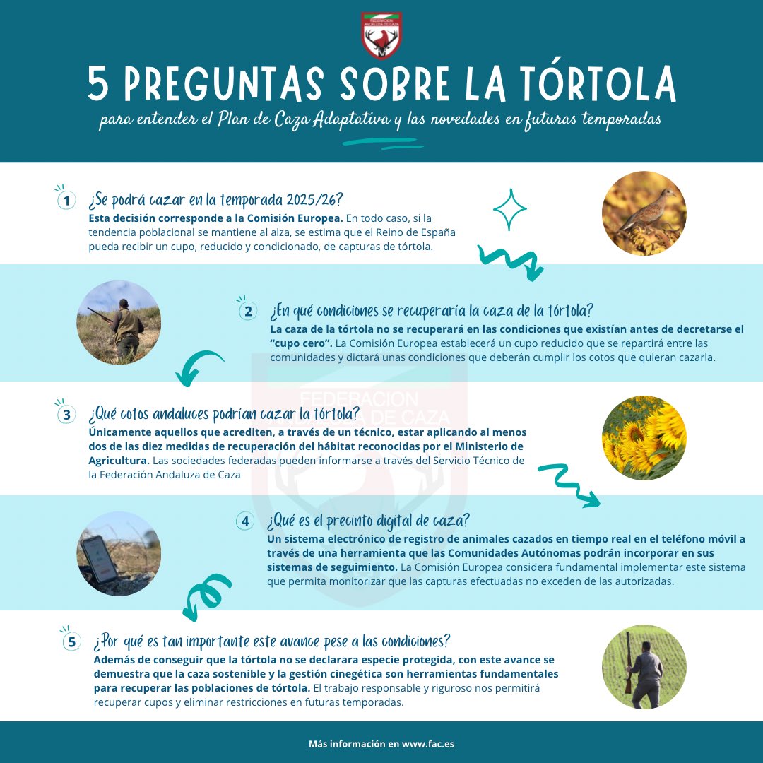 Aclaramos algunas cuestiones en relación a las últimas noticias publicadas sobre la Tórtola Europea y su plan de caza adaptativa