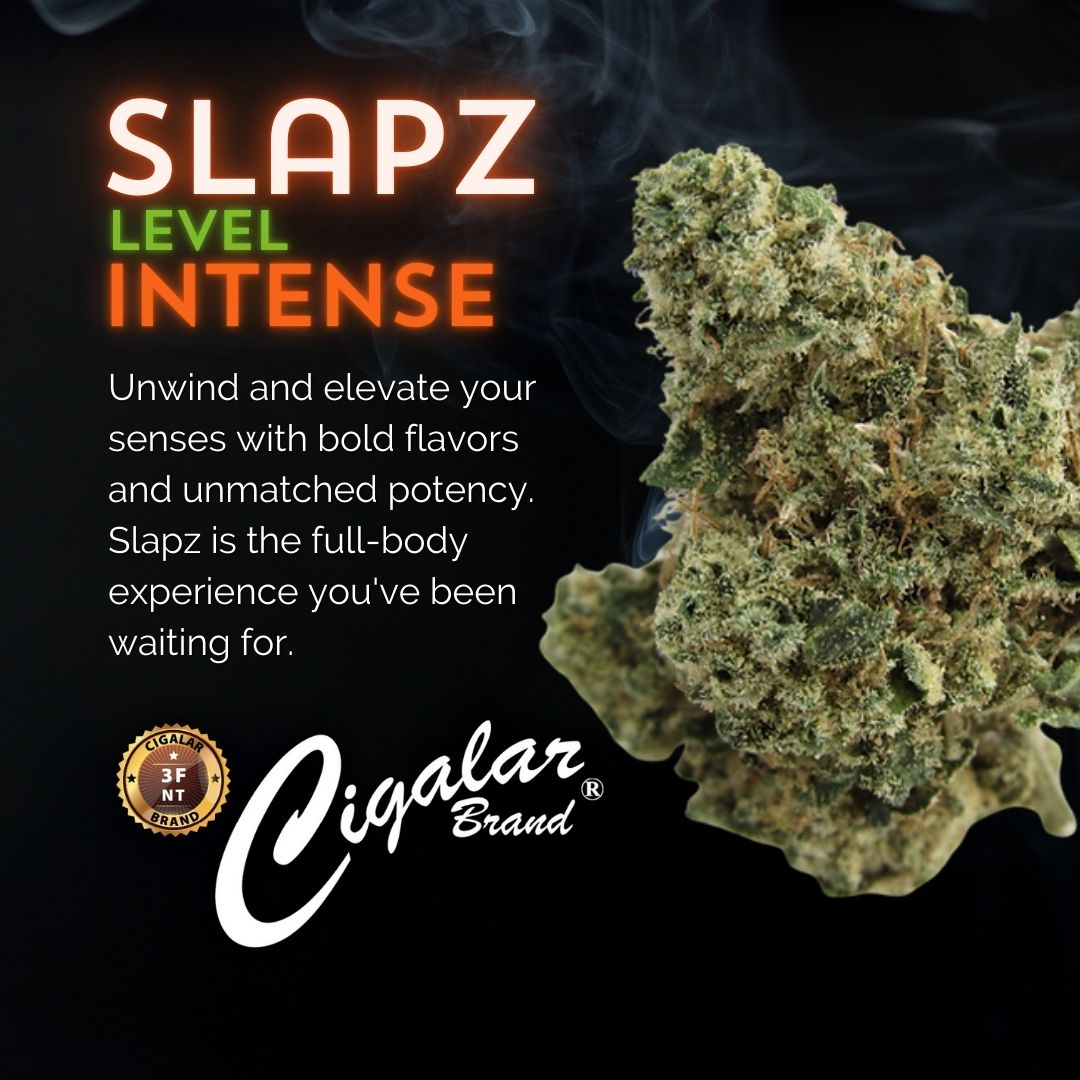 BrandCigalar's tweet photo. Slapz hits hard with bold flavors and full-body relaxation. Perfect for unwinding after a long day. Ready to experience the ultimate chill? 🌿 #Slapz #RelaxAndUnwind #FlavorJourney #IndicaVibes https://t.co/nBalVjTQuT