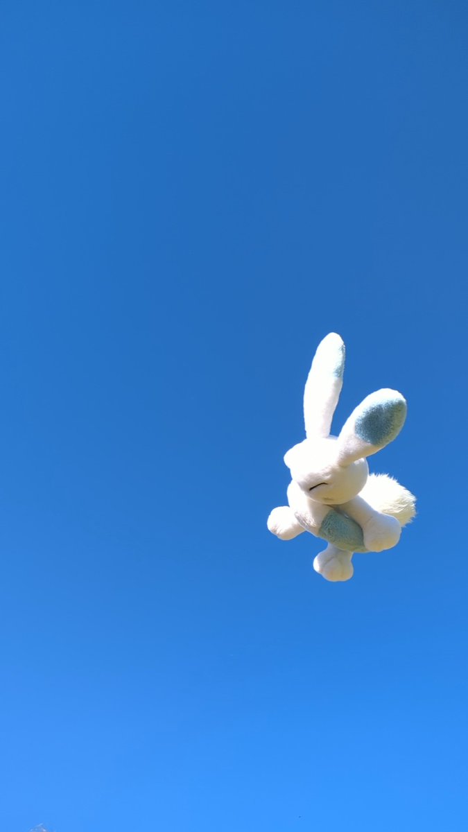 PumpkinPlushnes's tweet photo. warabbit used fly https://t.co/fibI1qQZ7x