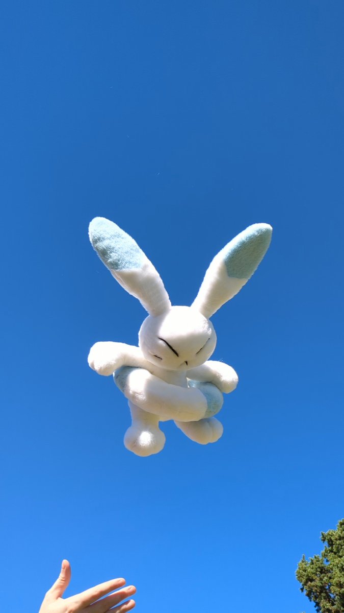 PumpkinPlushnes's tweet photo. warabbit used fly https://t.co/fibI1qQZ7x