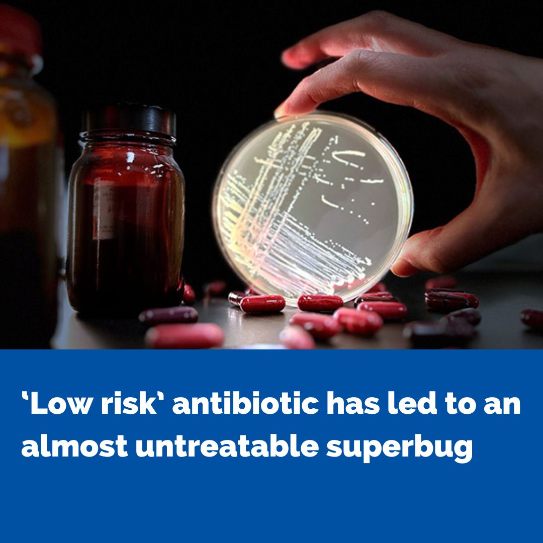 Doherty Institute (@thedohertyinst) on Twitter photo 🦠🔬An international team of researchers has found that an antibiotic commonly prescribed for patients with liver disease, has led to the global emergence of an almost untreatable form of antimicrobial resistant superbug. go.unimelb.edu.au/4zg8 <a href="/UniMelbMDHS/">UniMelb MDHS</a> <a href="/TheRMH/">The Royal Melbourne Hospital</a> 🦠🔬An international team of researchers has found that an antibiotic commonly prescribed for patients with liver disease, has led to the global emergence of an almost untreatable form of antimicrobial resistant superbug. go.unimelb.edu.au/4zg8 <a href="/UniMelbMDHS/">UniMelb MDHS</a> <a href="/TheRMH/">The Royal Melbourne Hospital</a>