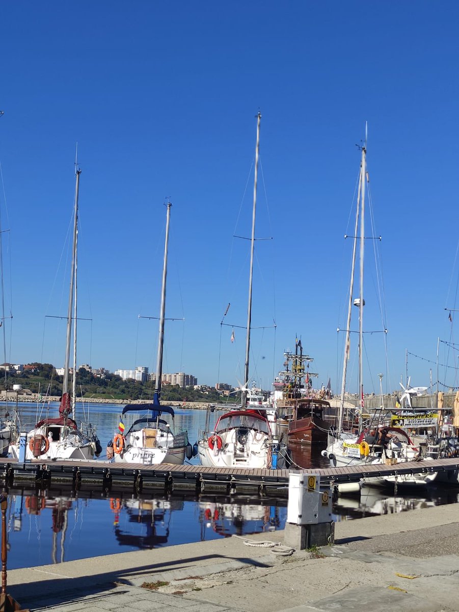 Illaderodes tweet media