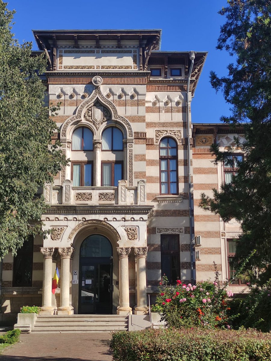 Illaderodes tweet media