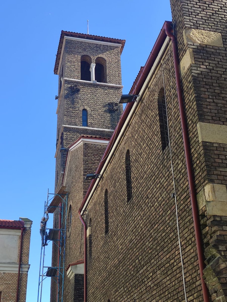 Illaderodes tweet media