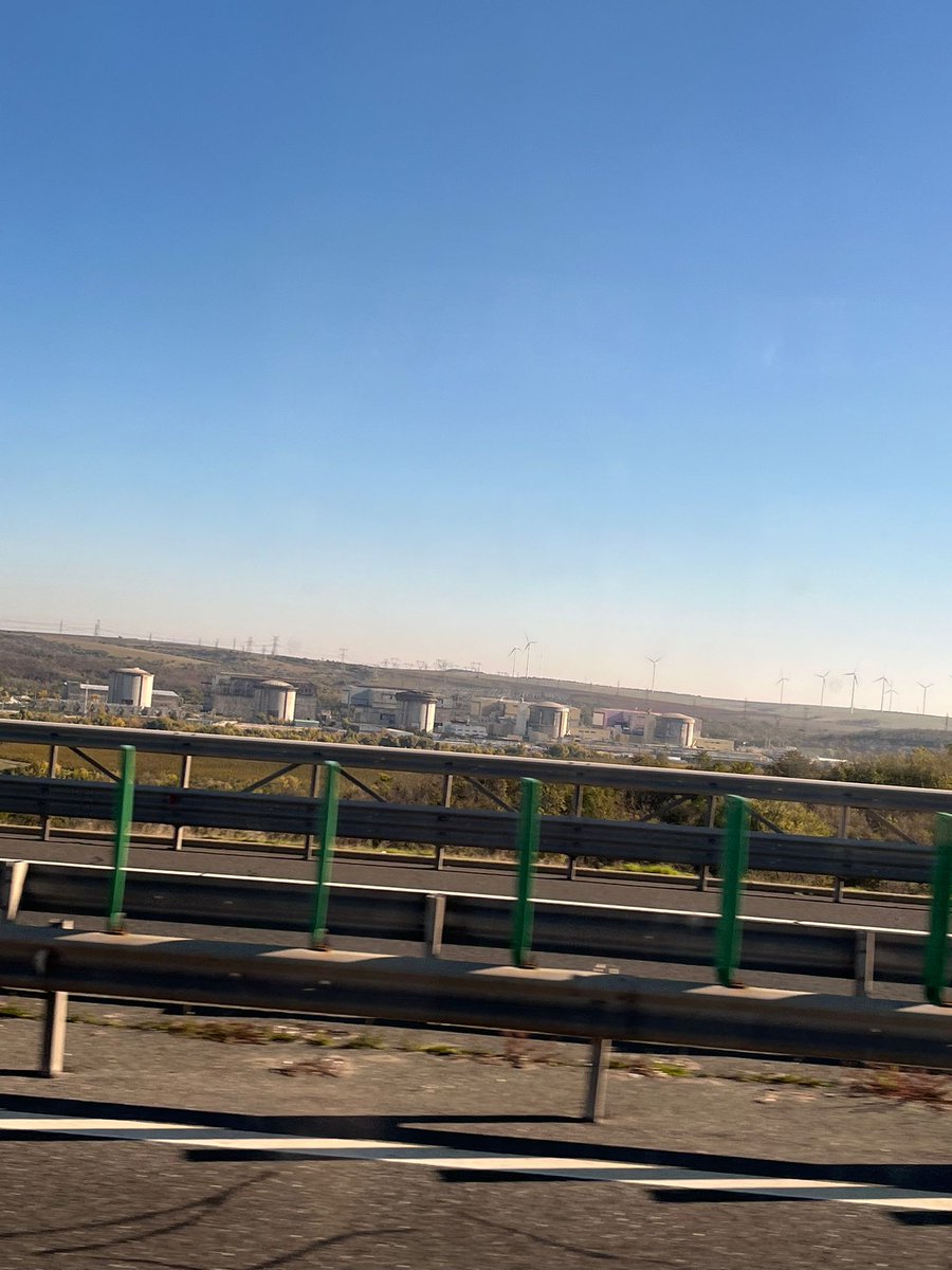 Illaderodes tweet media