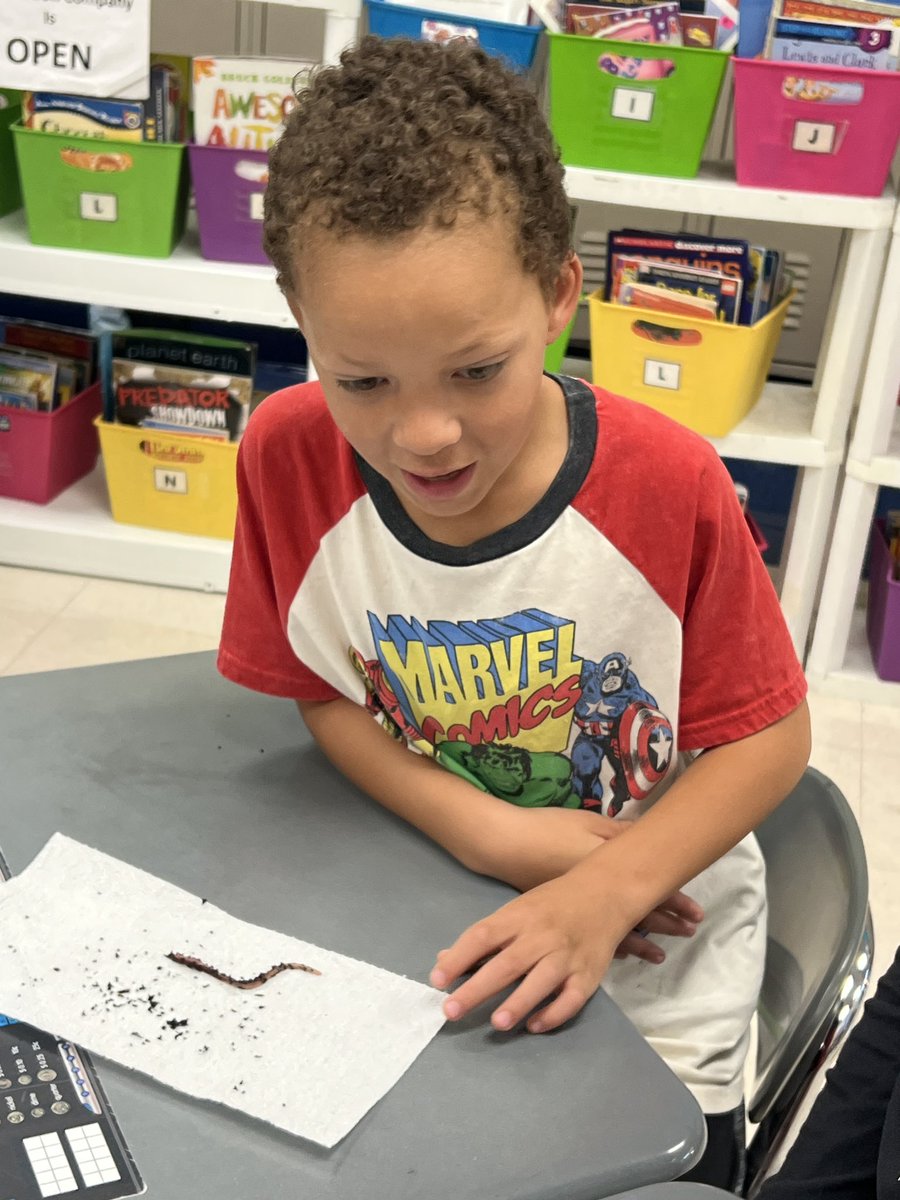 KiserClass's tweet image. What could be more fun than observing worms?!? These wiggly friends of ours will be hard at work in our classroom “vermicomposter”. Oh the changes we will observe!!! #ObservingChange #LearnByDoing #MakeTimeForScience #Vermicompost #Composting #OnceAMiddie