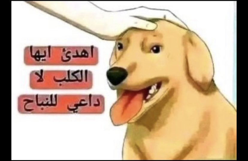 <a href="/omaraljmmal/">عمر الجمّال</a> هذا اقل ماتستحق