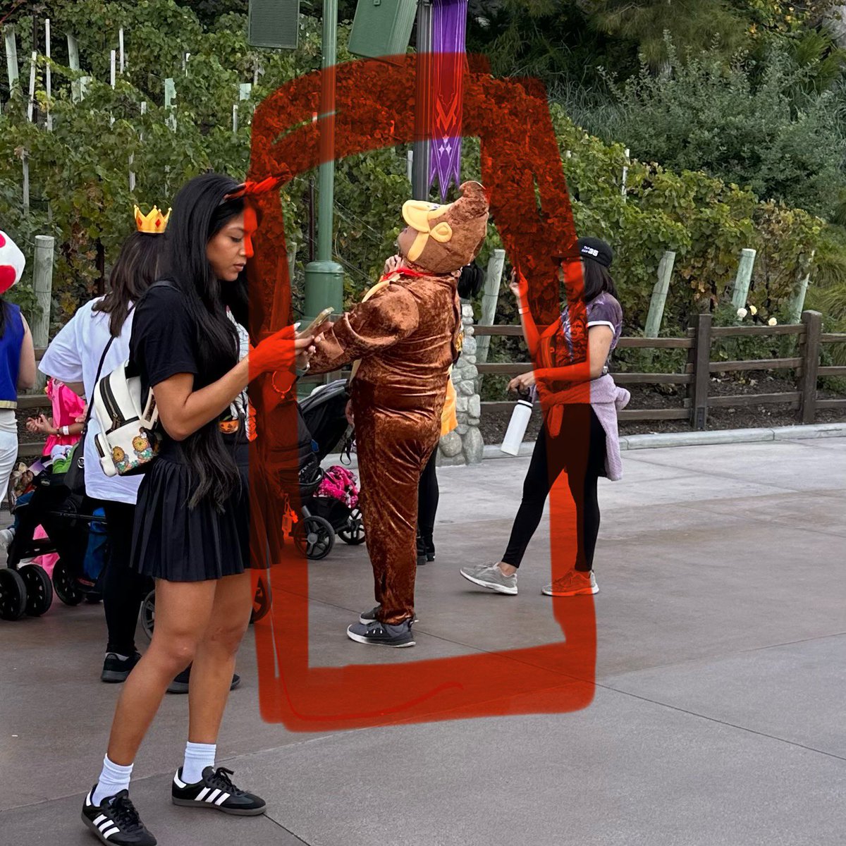 Peter Tedone tweet media