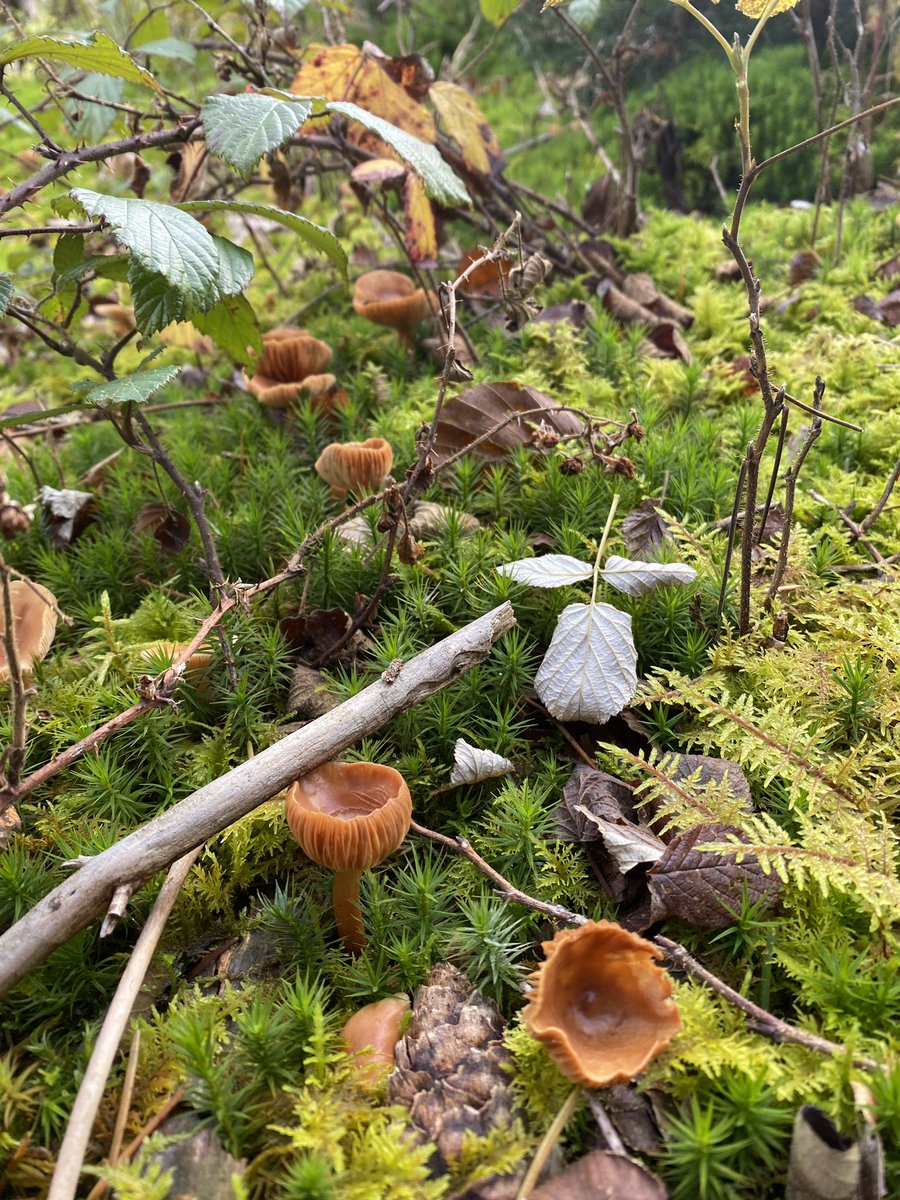 What are you going with your one precious life? The equinox is the time to choose to use your intention well.