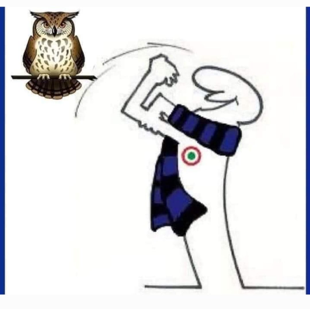 rita6255's tweet image. Fan c@@o ai gufi  buonanotte 
#ForzaIntersempre 
#🖤💙🇮🇹⭐️⭐️