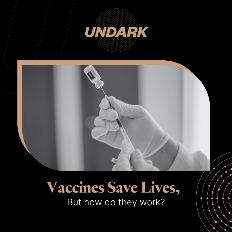 undarkmag's tweet photo. 💉 Vaccines have transformed public health, but their journey is far from over. 

Join us for a 4-week deep dive into the past, present, and future of immunization, curated from our extensive archive. 

Subscribe for free ⬇️