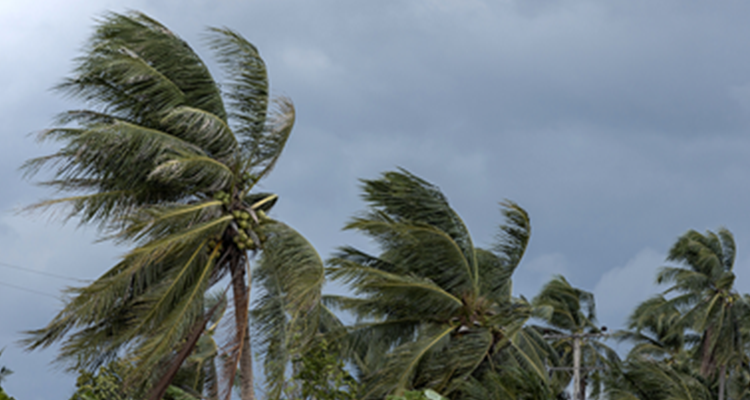 Evolveinspect's tweet image. Protect your home from wind damage! Evolve Property Inspections offers certified wind mitigation inspections to help with insurance requirements. Schedule yours today and learn more: tinyurl.com/ycu385y9