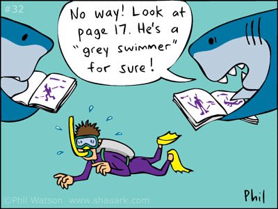 Shaaark! tweet media