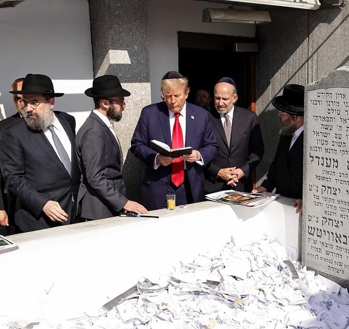 Libs of TikTok tweet media