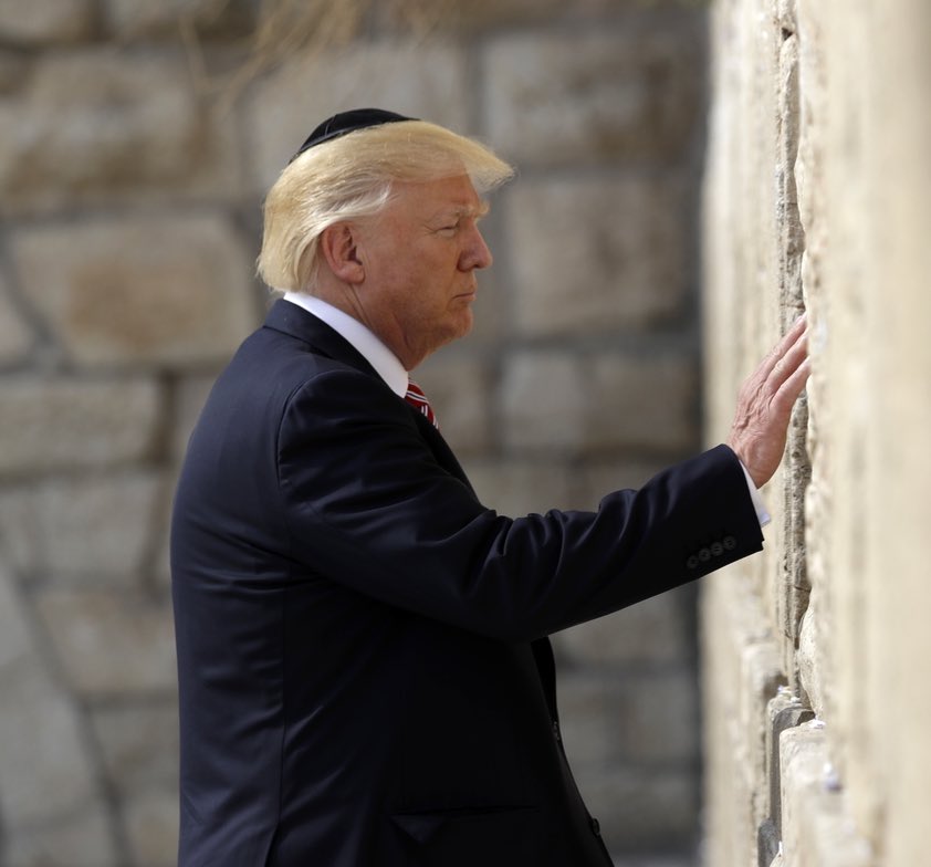 Libs of TikTok tweet media